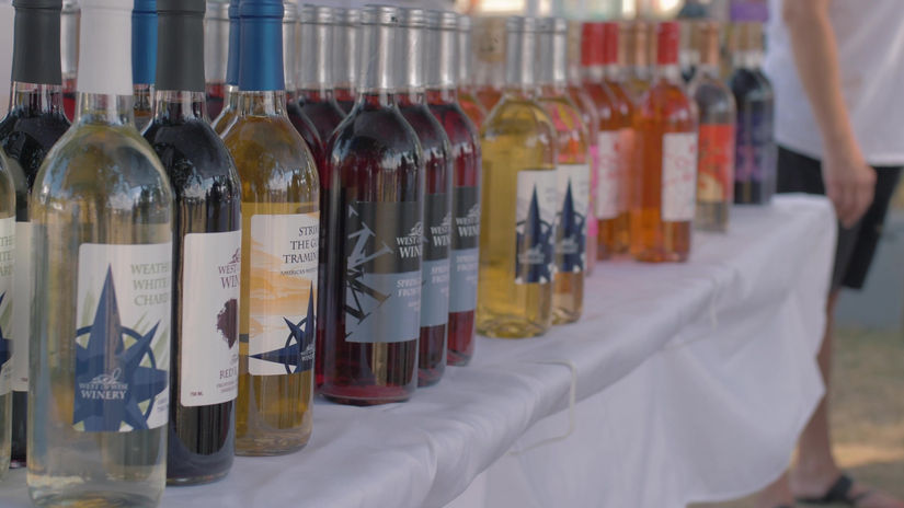 Vintage Illinois Wine Festival 2021